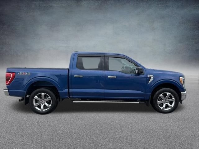 Used 2023 Ford F150 XLT w/ Equipment Group 302A High AWD/4WD image 6
