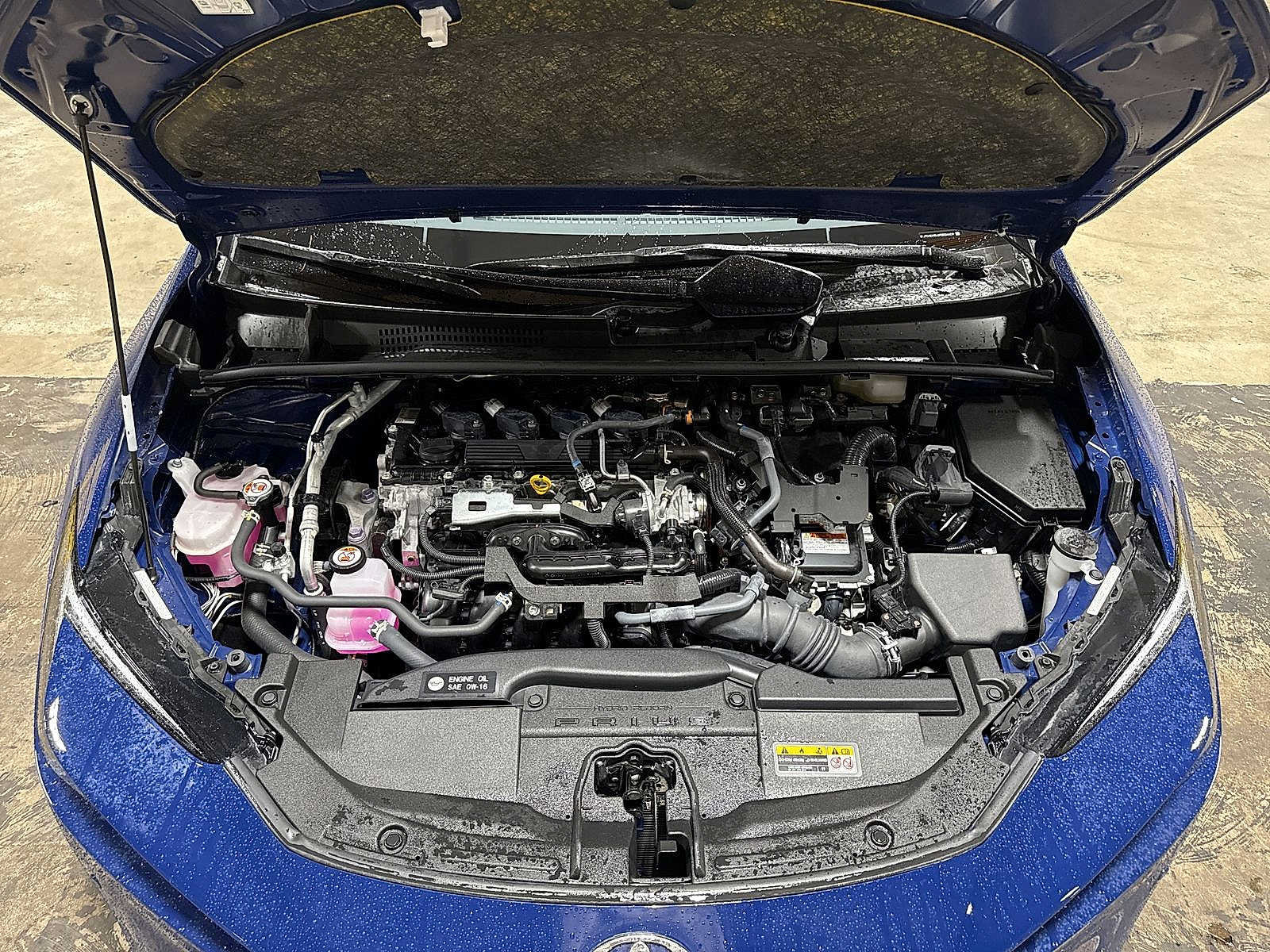 Certified 2024 Toyota Prius LE AWD/4WD image 11