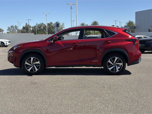 Used 2019 Lexus NX 300h AWD w/ Premium Package image 10
