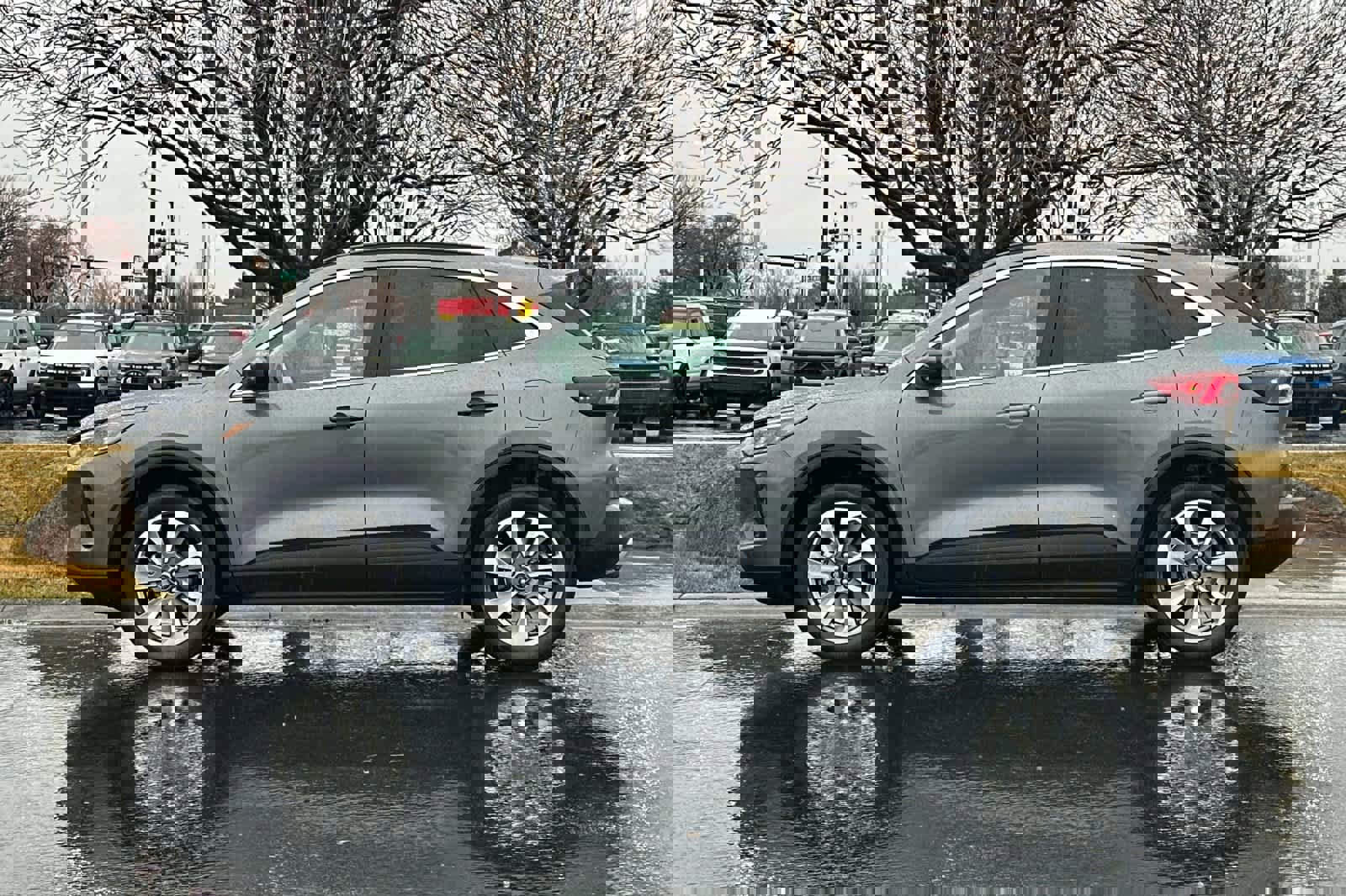 Certified 2025 Ford Escape Platinum image 5