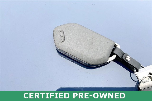 Used 2024 Kia Telluride SX X-Line image 10