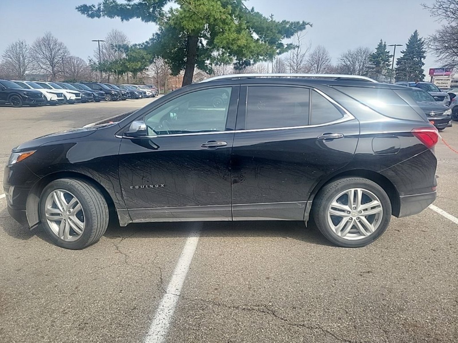 Used 2021 Chevrolet Equinox Premier image 5
