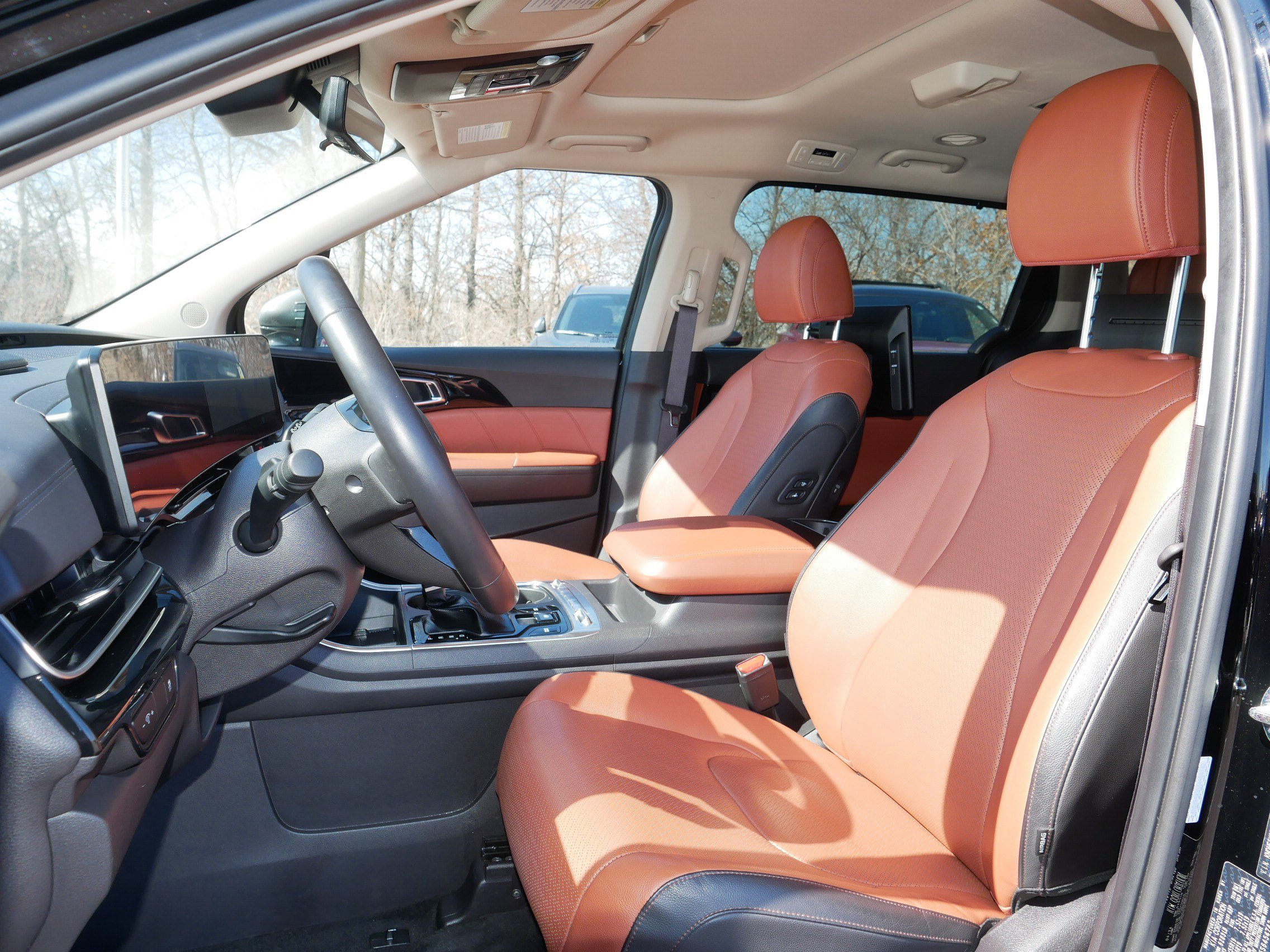 Used 2025 Kia Carnival SX Prestige image 31