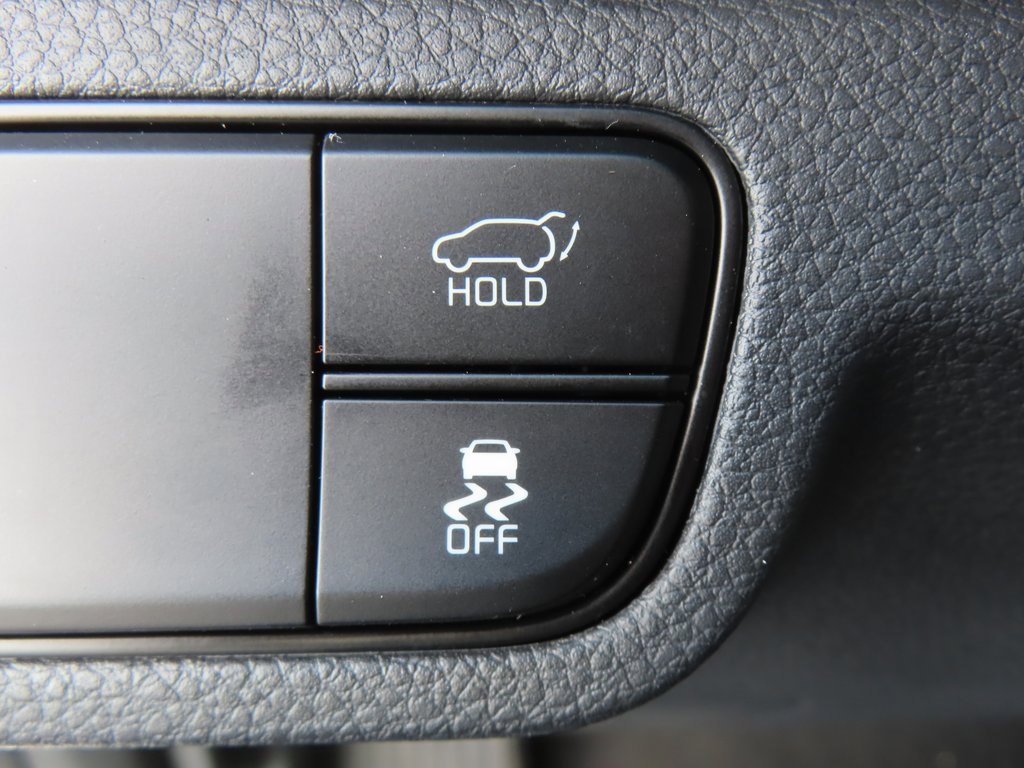 New 2026 Kia Seltos SX w/ SX Sunroof Package image 15