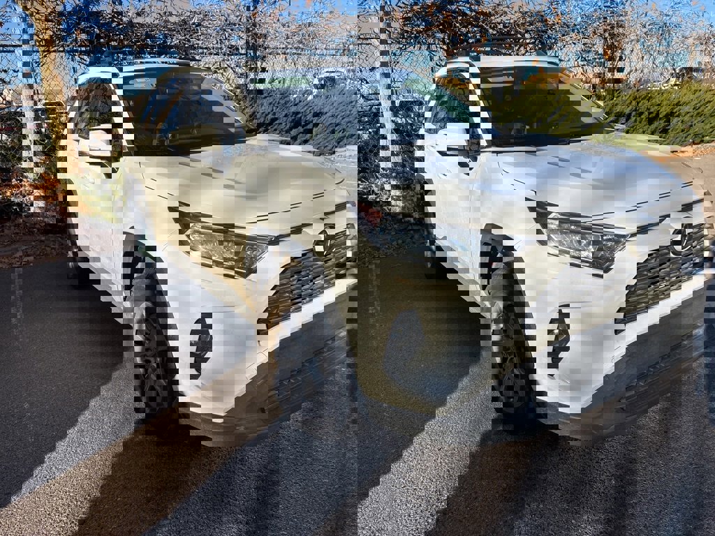 Used 2019 Toyota RAV4 XLE w/ All Weather Liner Package image 1