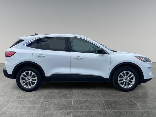 Used 2022 Ford Escape SE AWD/4WD image 6