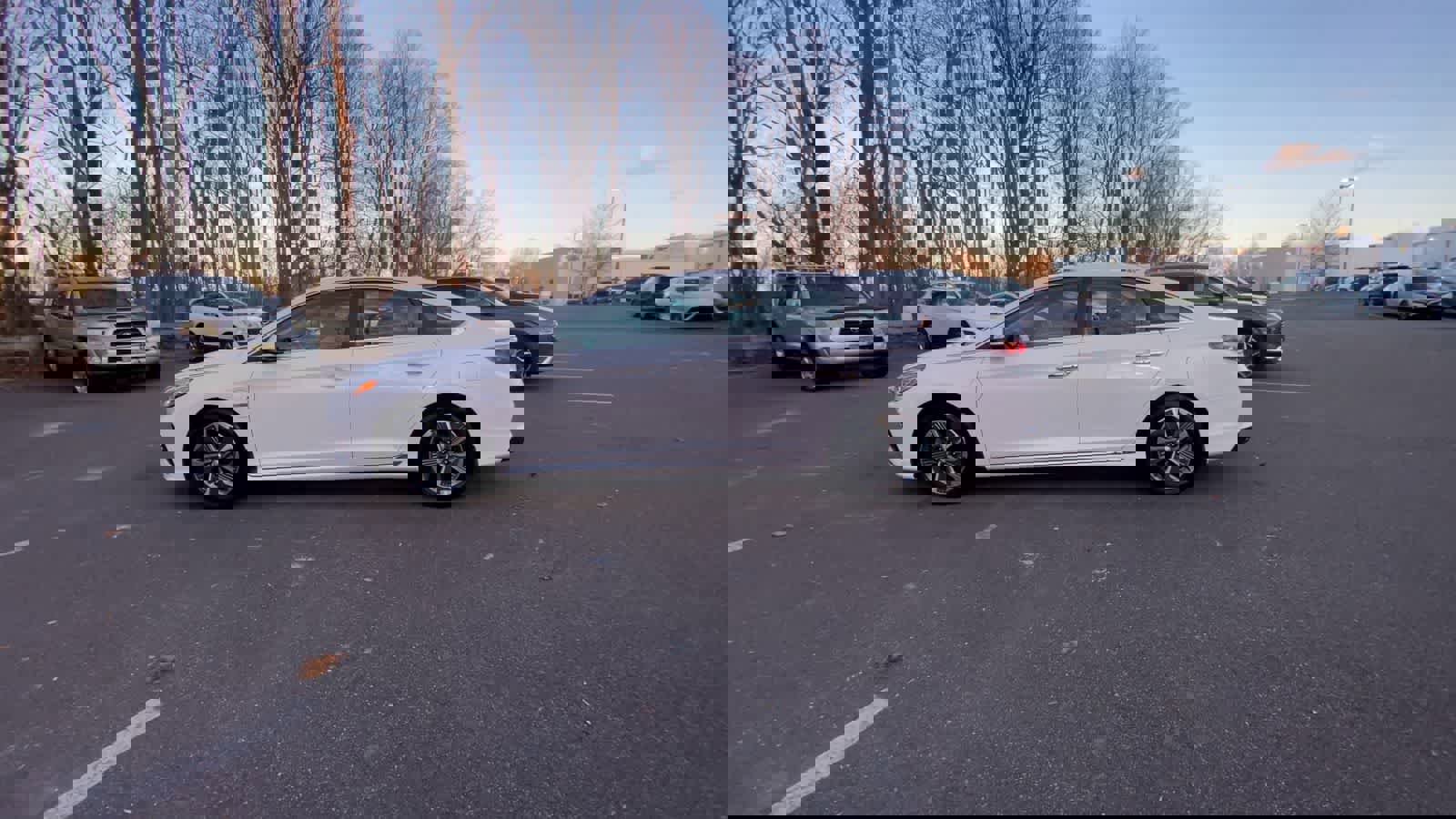 Used 2019 Hyundai Sonata Limited image 13