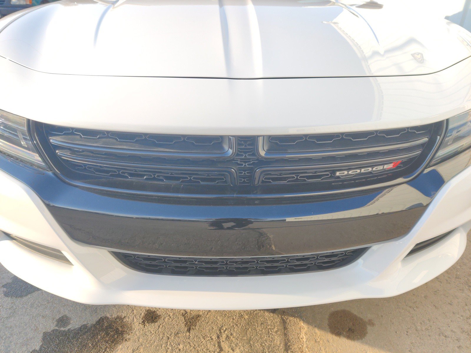 New 2023 Dodge Charger SXT w/ Blacktop Special Edition image 5