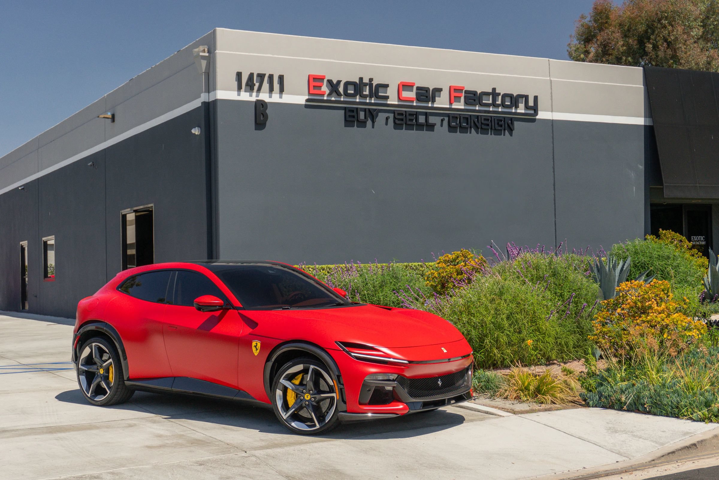Used 2024 Ferrari Purosangue