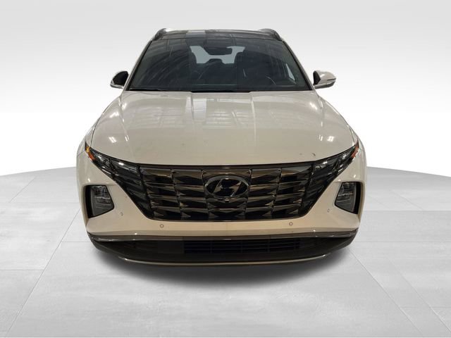 Used 2024 Hyundai Tucson Limited video 2