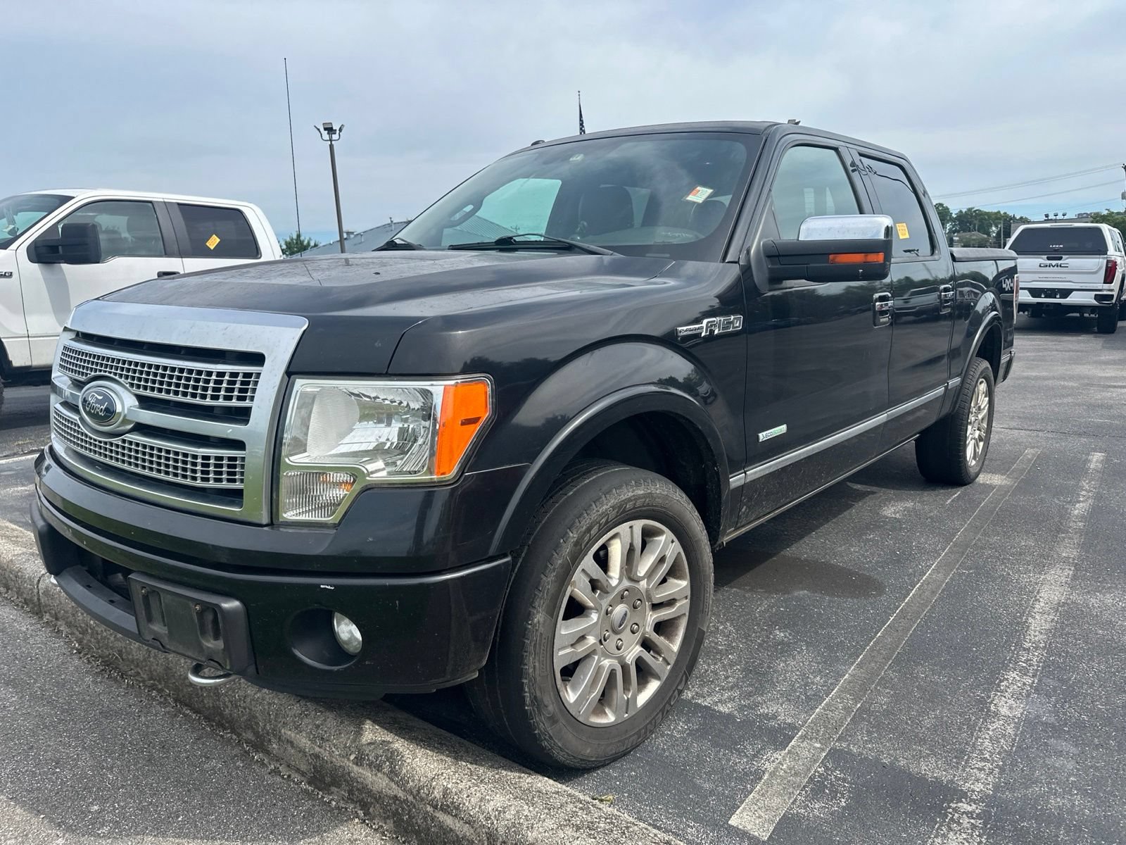 Used 2012 Ford F150 Platinum