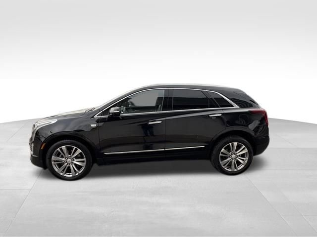 Used 2024 Cadillac XT5 Premium Luxury image 12