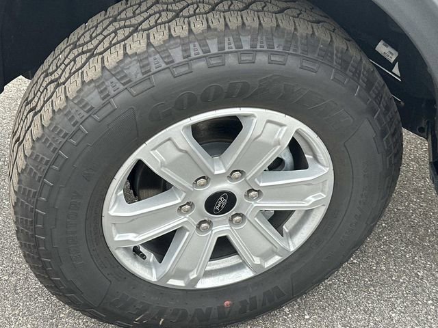 New 2025 Ford Ranger XL image 15