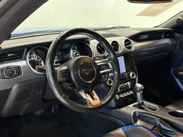 Used 2019 Ford Mustang EcoBoost w/ Equipment Group 101A image 12