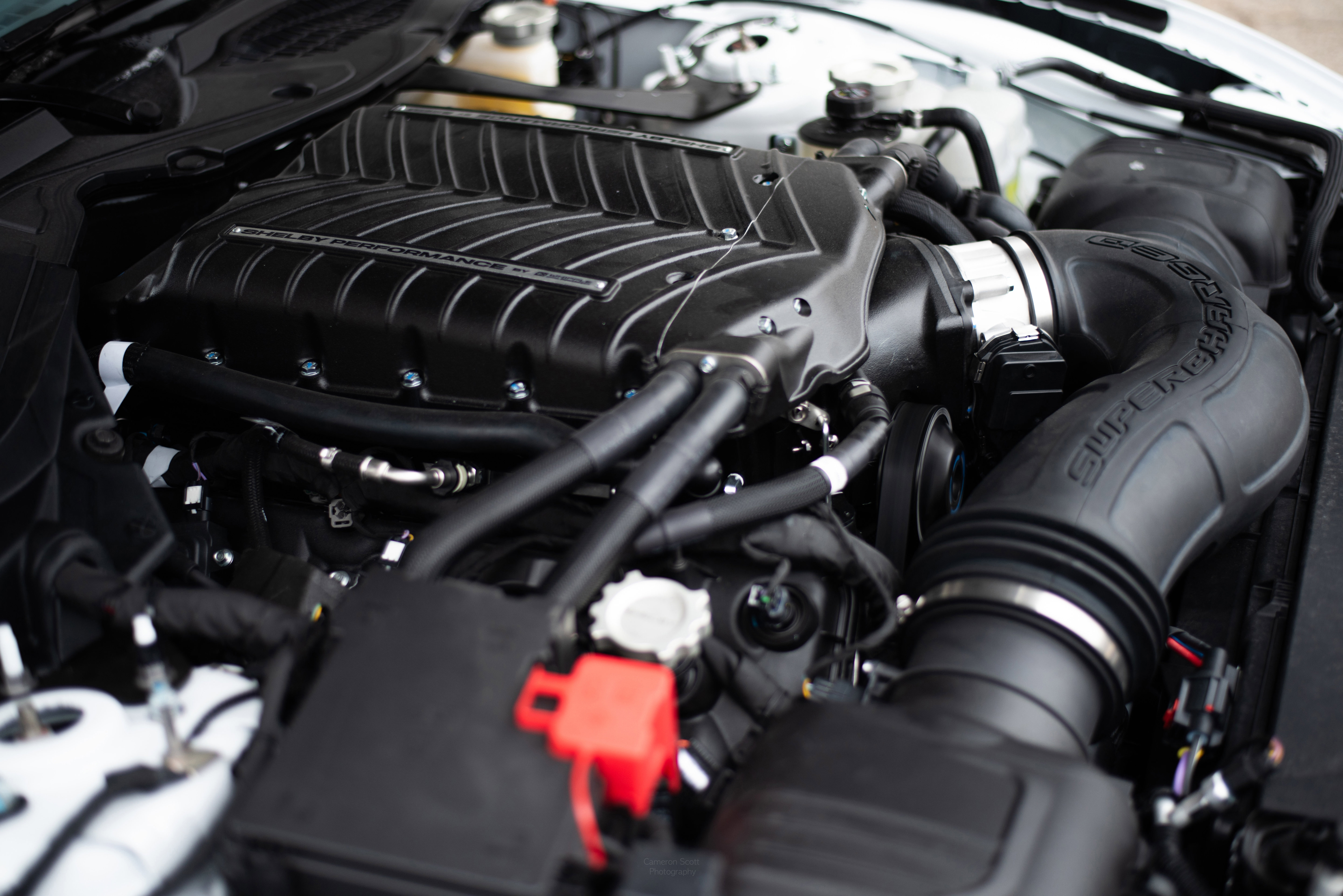 Used 2025 Ford Mustang GT w/ GT Performance Package image 16