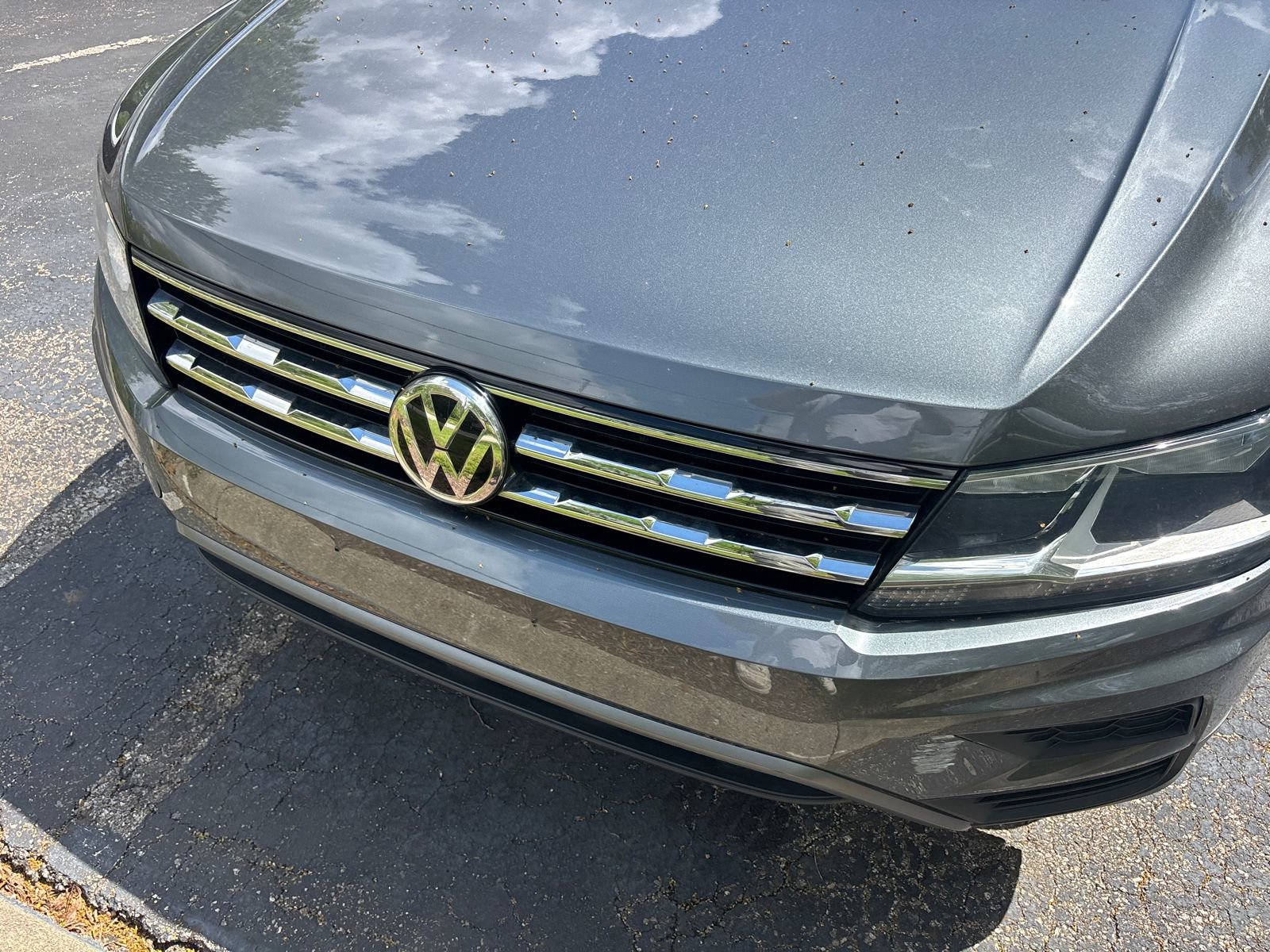 Used 2019 Volkswagen Tiguan SE AWD/4WD image 16