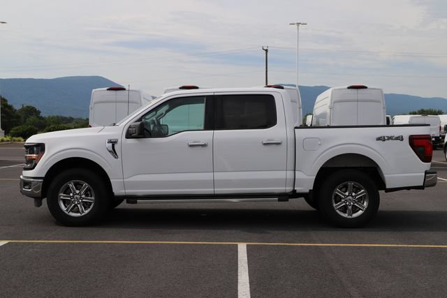Used 2025 Ford F150 XLT w/ Equipment Group 301A Standard AWD/4WD image 5