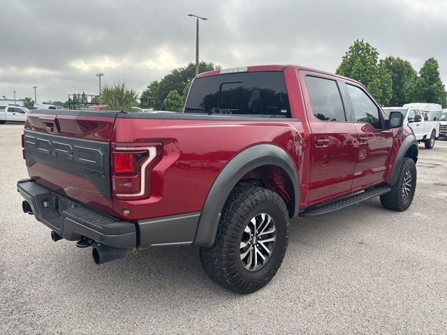 Used 2019 Ford F150 Raptor w/ Equipment Group 802A Luxury AWD/4WD image 5