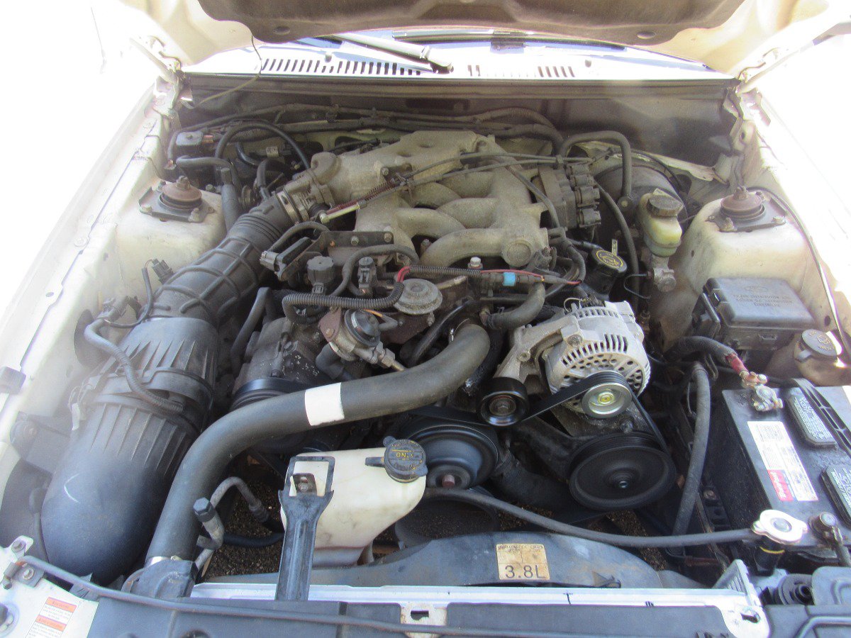 Used 1999 Ford Mustang Coupe RWD image 10