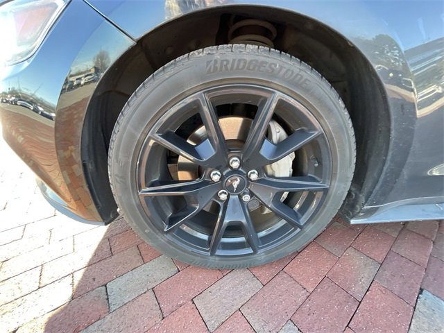 Used 2017 Ford Mustang GT Premium w/ Equipment Group 401A image 5