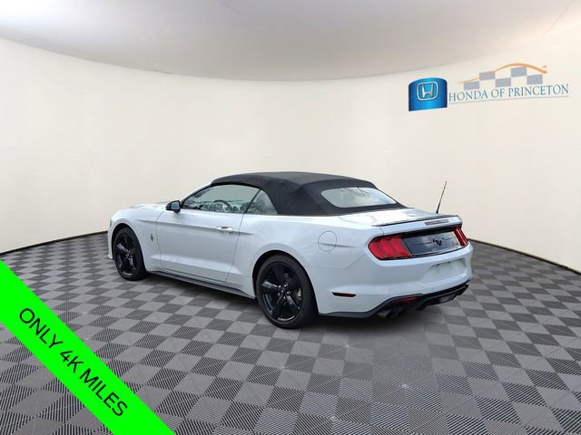 Used 2023 Ford Mustang Premium w/ Equipment Group 201A image 5