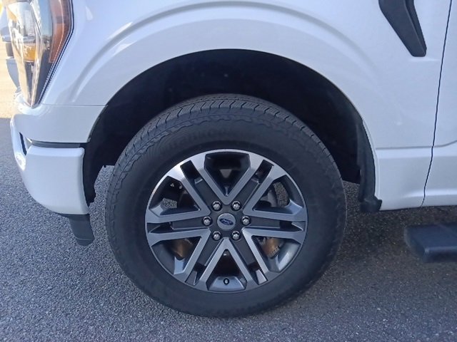Used 2023 Ford F150 XL w/ STX Appearance Package image 10