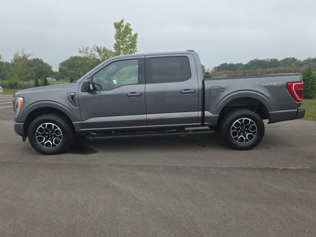 Used 2023 Ford F150 XLT w/ Equipment Group 302A High AWD/4WD image 11