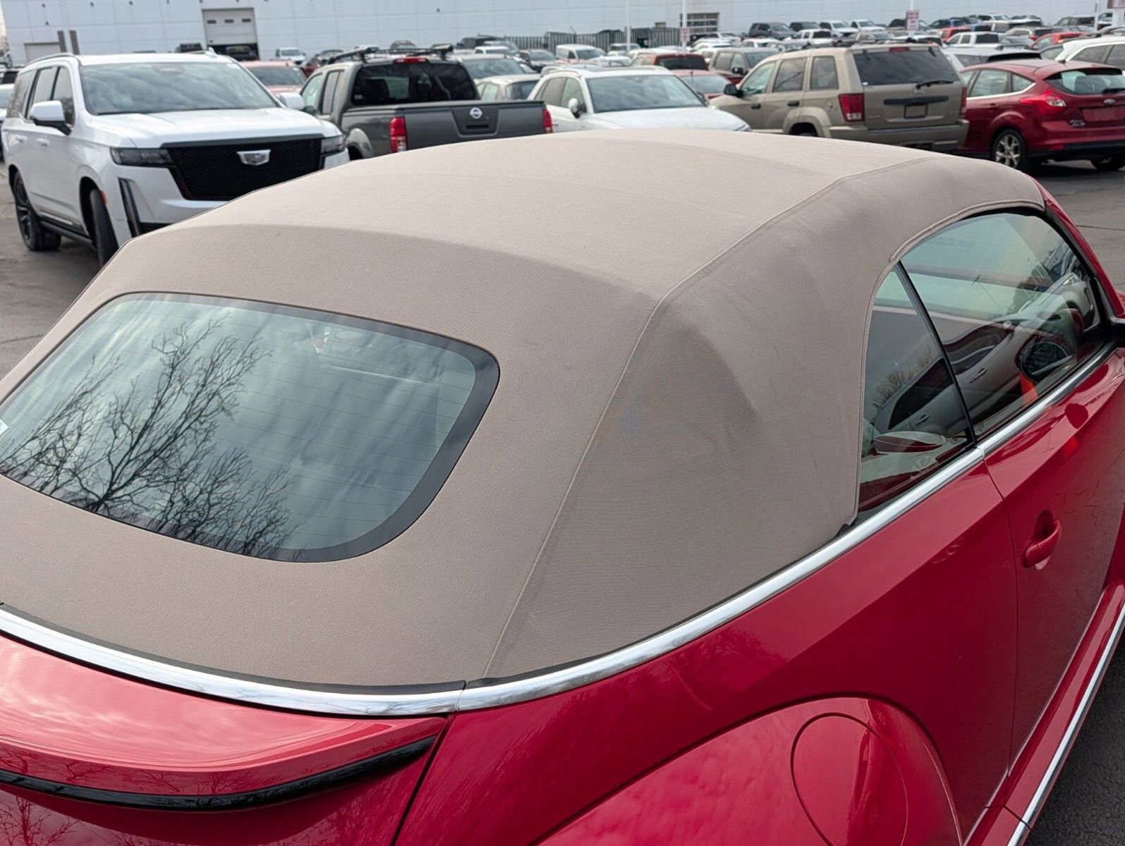 Used 2019 Volkswagen Beetle 2.0T S FWD image 12