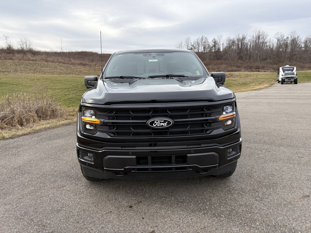 New 2025 Ford F150 XLT w/ Equipment Group 302A MID image 8