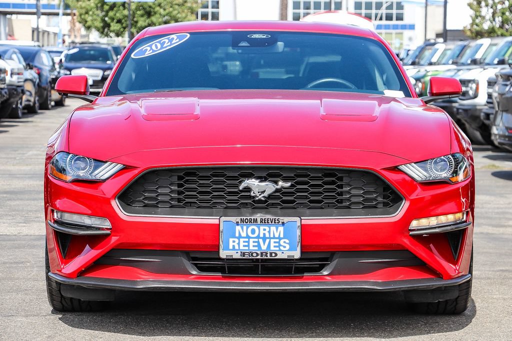 Used 2022 Ford Mustang Coupe w/ Equipment Group 101A RWD image 2
