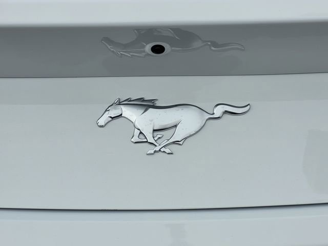 New 2026 Ford Mustang Coupe image 24