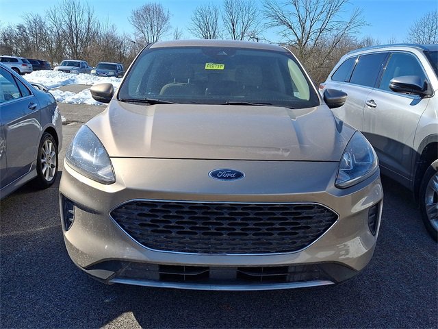 Used 2020 Ford Escape SE image 2