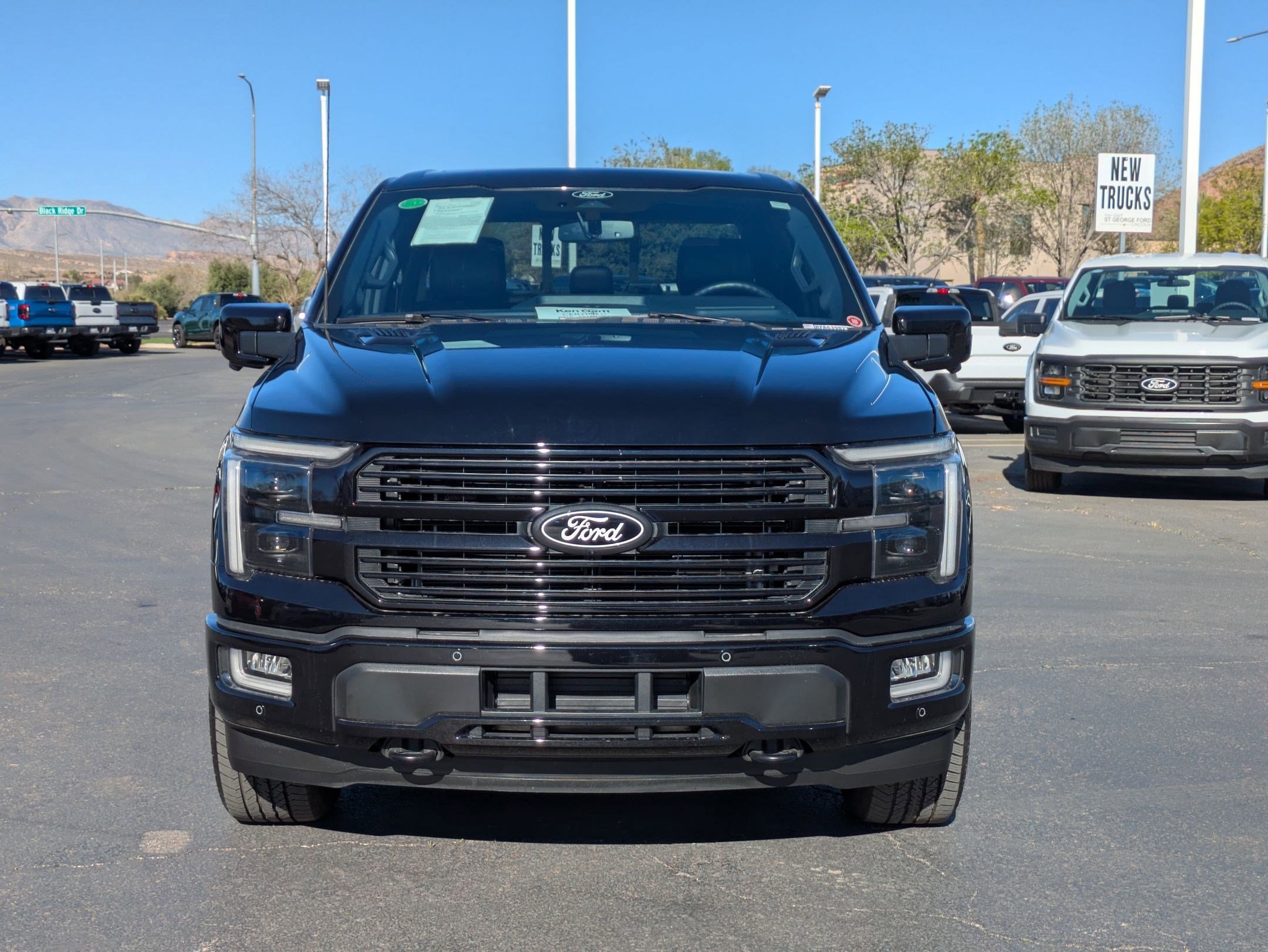 Used 2024 Ford F150 Platinum w/ Equipment Group 702A High image 9