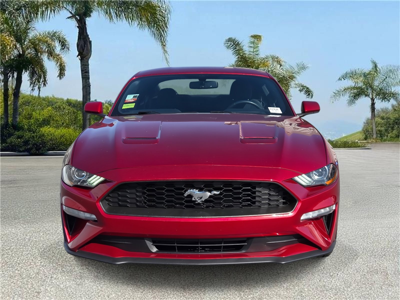 Used 2019 Ford Mustang EcoBoost Fastback RWD w/ Equipment Group 101A image 3