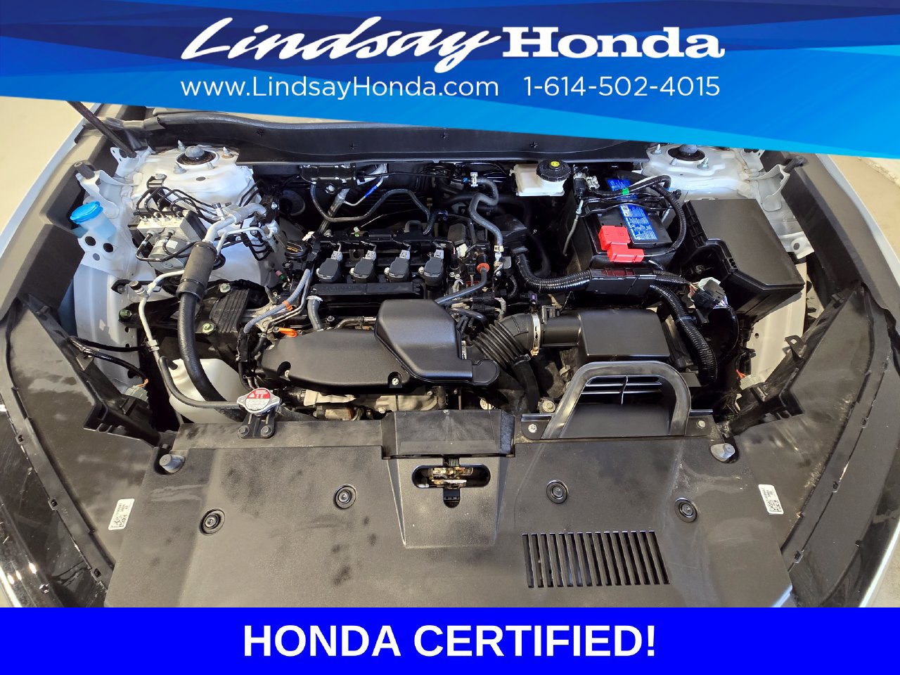 Certified 2024 Honda CR-V EX-L image 25