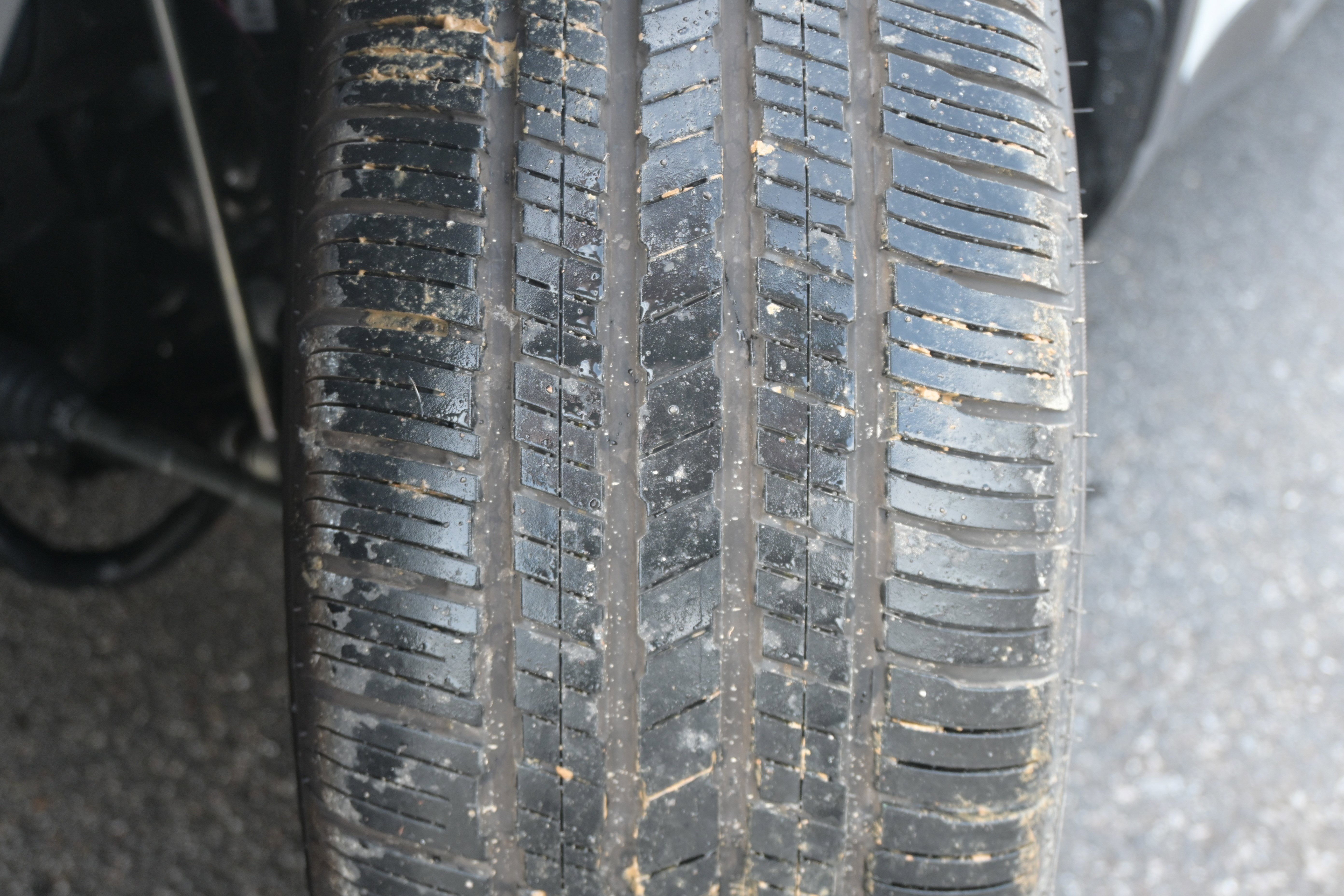 Certified 2025 Subaru Forester Limited image 12