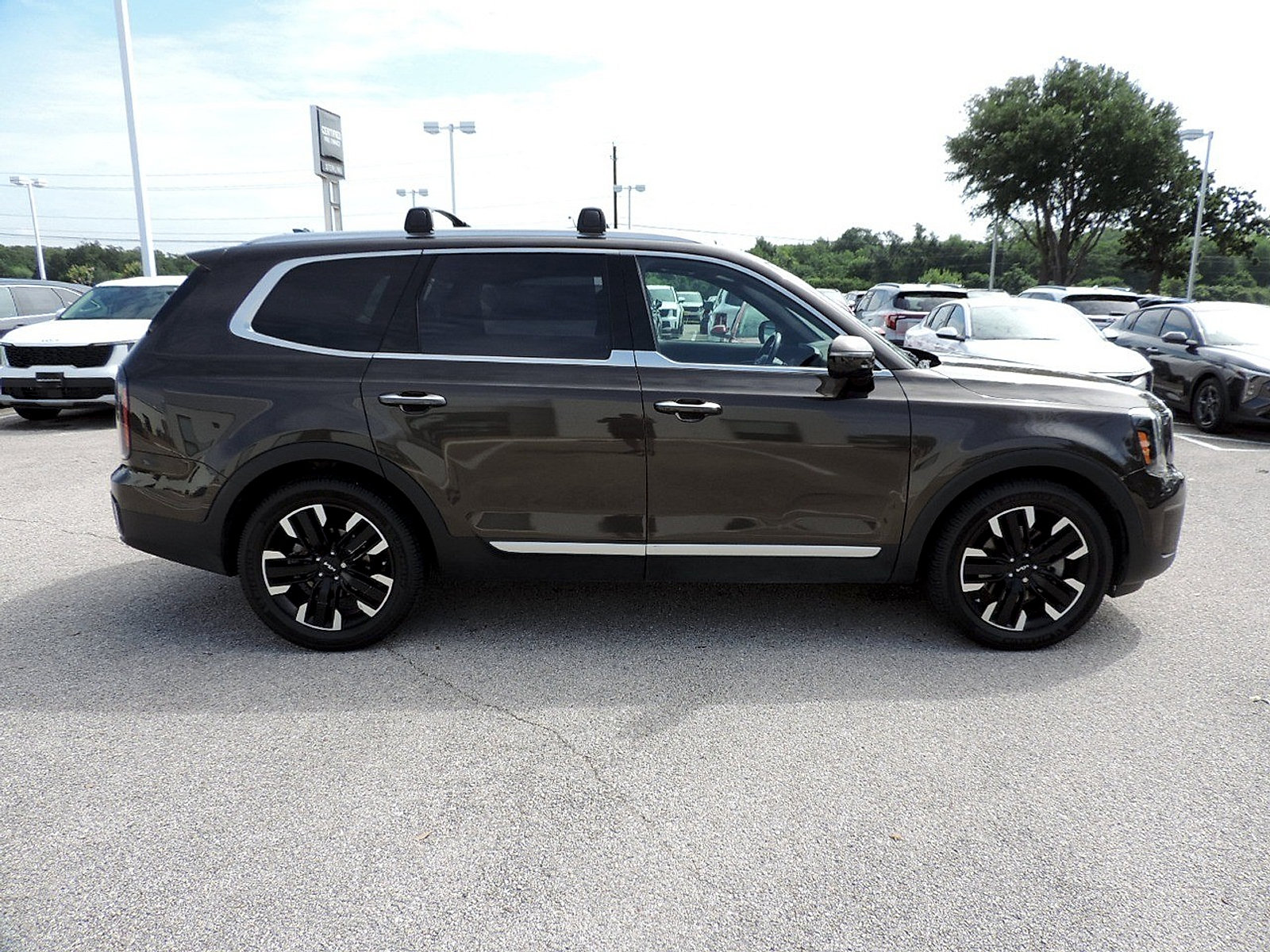 Used 2023 Kia Telluride SX Prestige AWD/4WD image 4