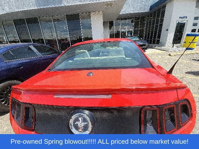 Used 2014 Ford Mustang Premium w/ Equipment Group 201A RWD image 7