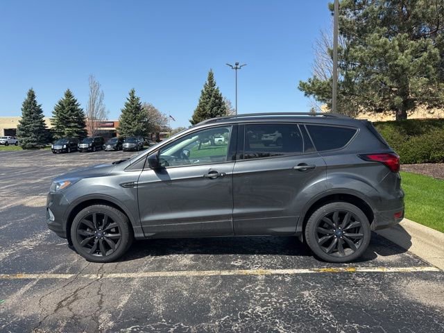 Used 2019 Ford Escape SE image 6