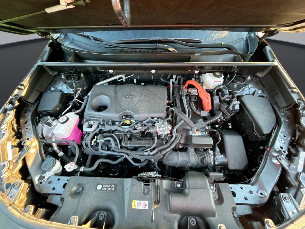 Certified 2025 Toyota RAV4 LE AWD/4WD image 31