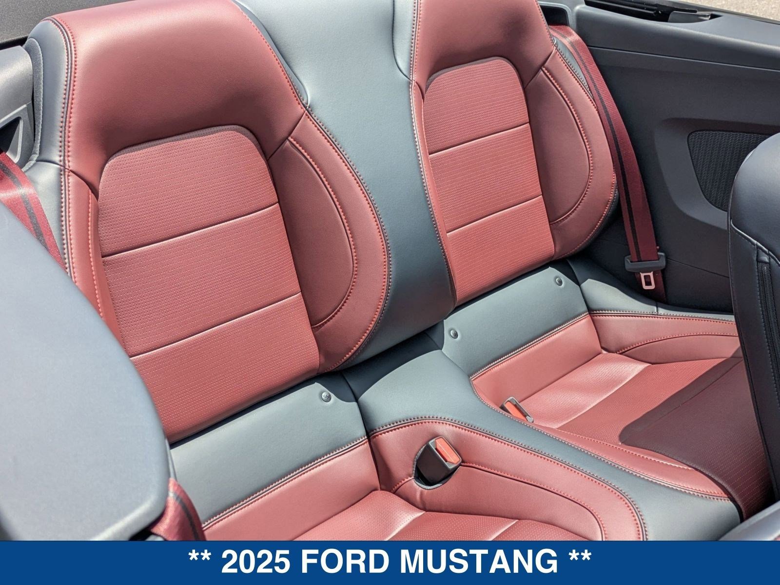 New 2025 Ford Mustang Premium RWD image 17