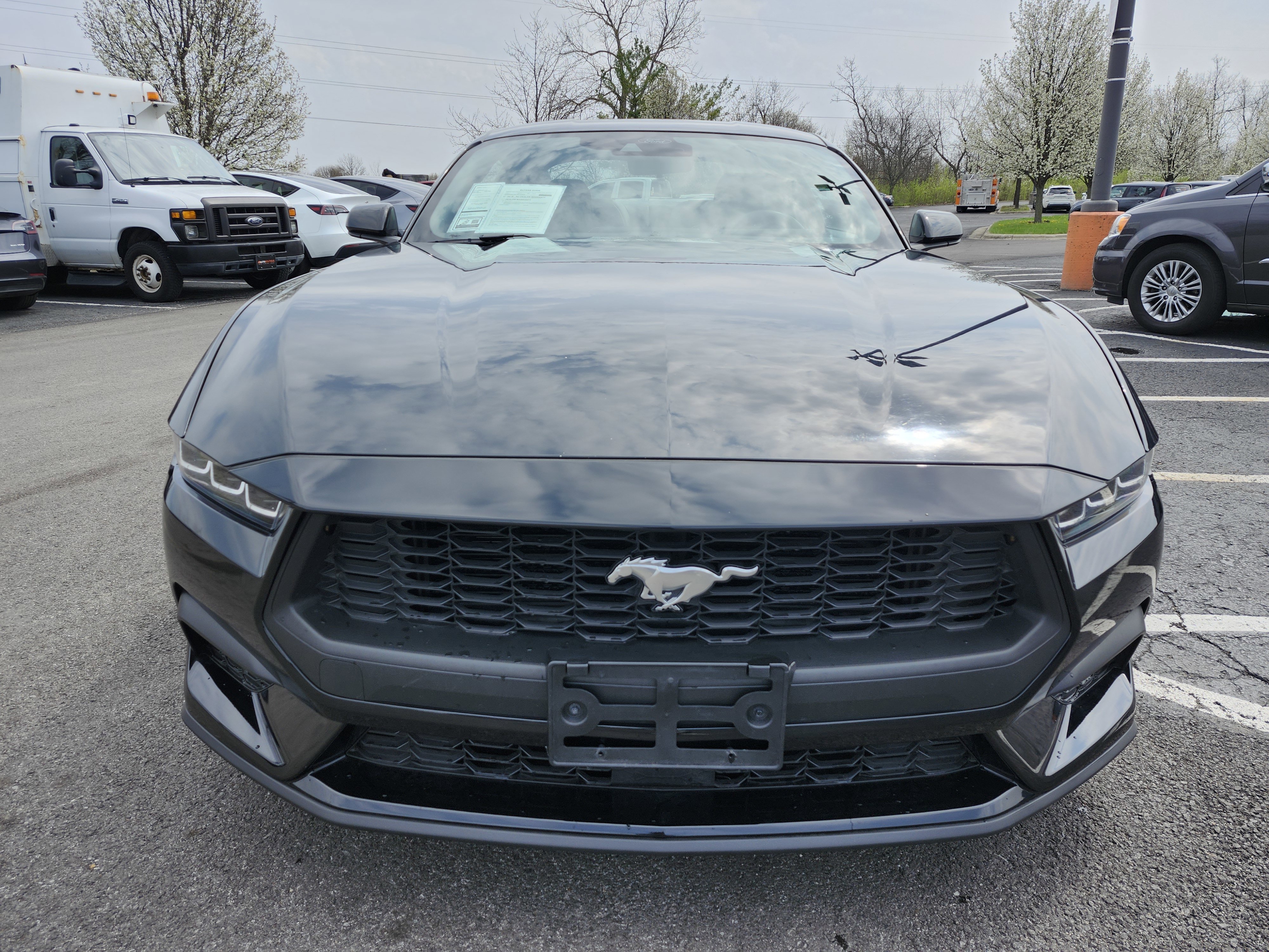 Used 2024 Ford Mustang Coupe image 12