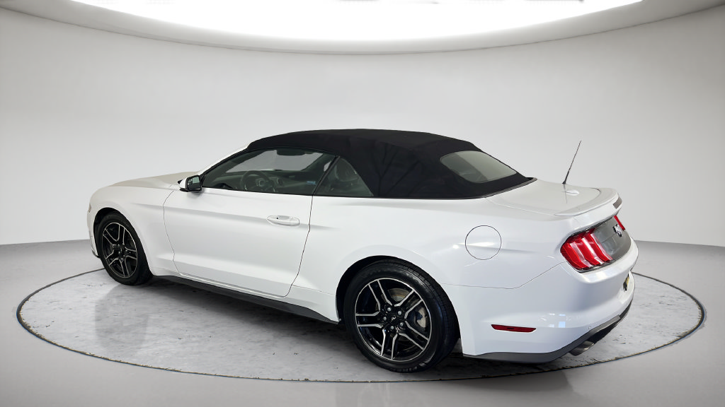 Used 2018 Ford Mustang Premium RWD image 12