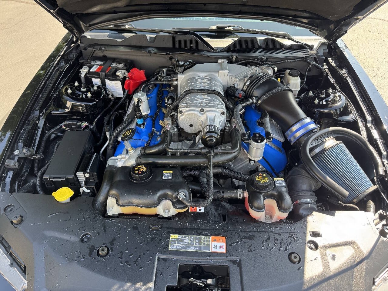 Used 2014 Ford Mustang Shelby GT500 w/ Equipment Group 821A RWD image 14