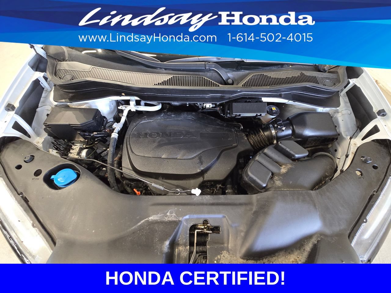 Certified 2024 Honda Ridgeline TrailSport image 25