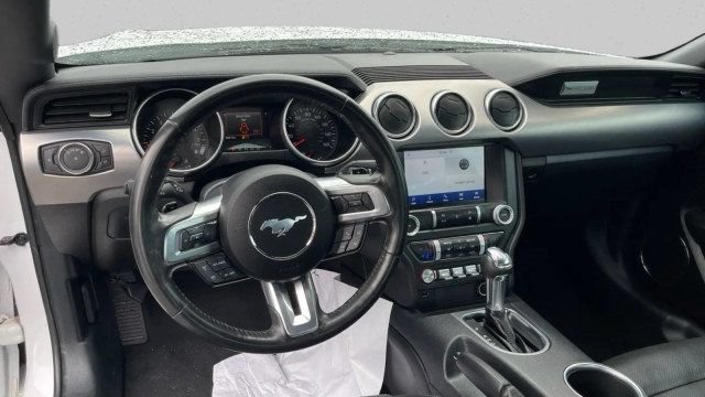 Used 2023 Ford Mustang GT Premium w/ Mustang Nite Pony Package RWD image 14