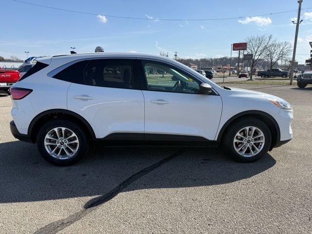 Used 2022 Ford Escape SE image 7