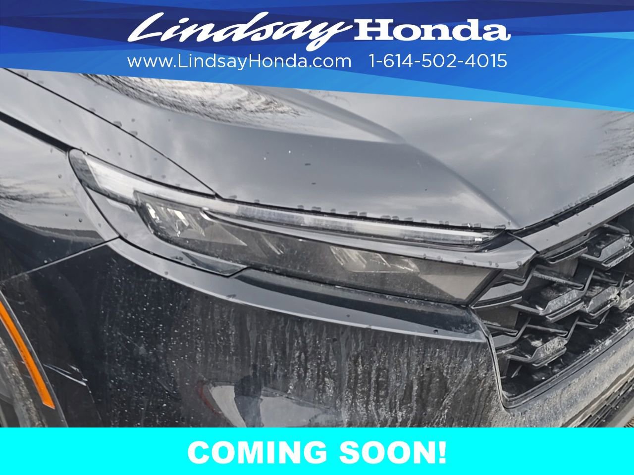 Used 2024 Honda CR-V Sport image 1