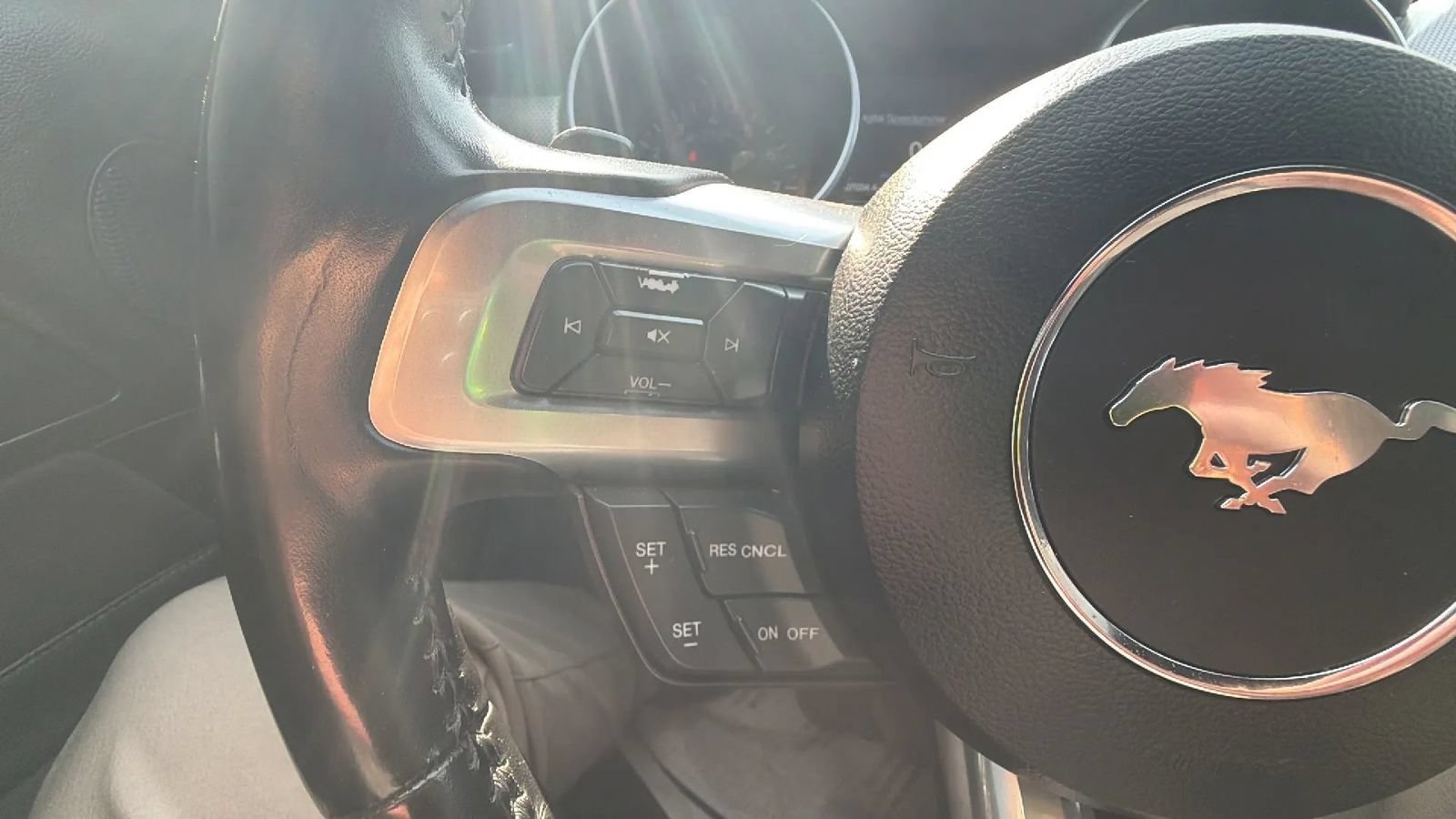 Used 2019 Ford Mustang GT w/ Equipment Group 301A RWD image 13