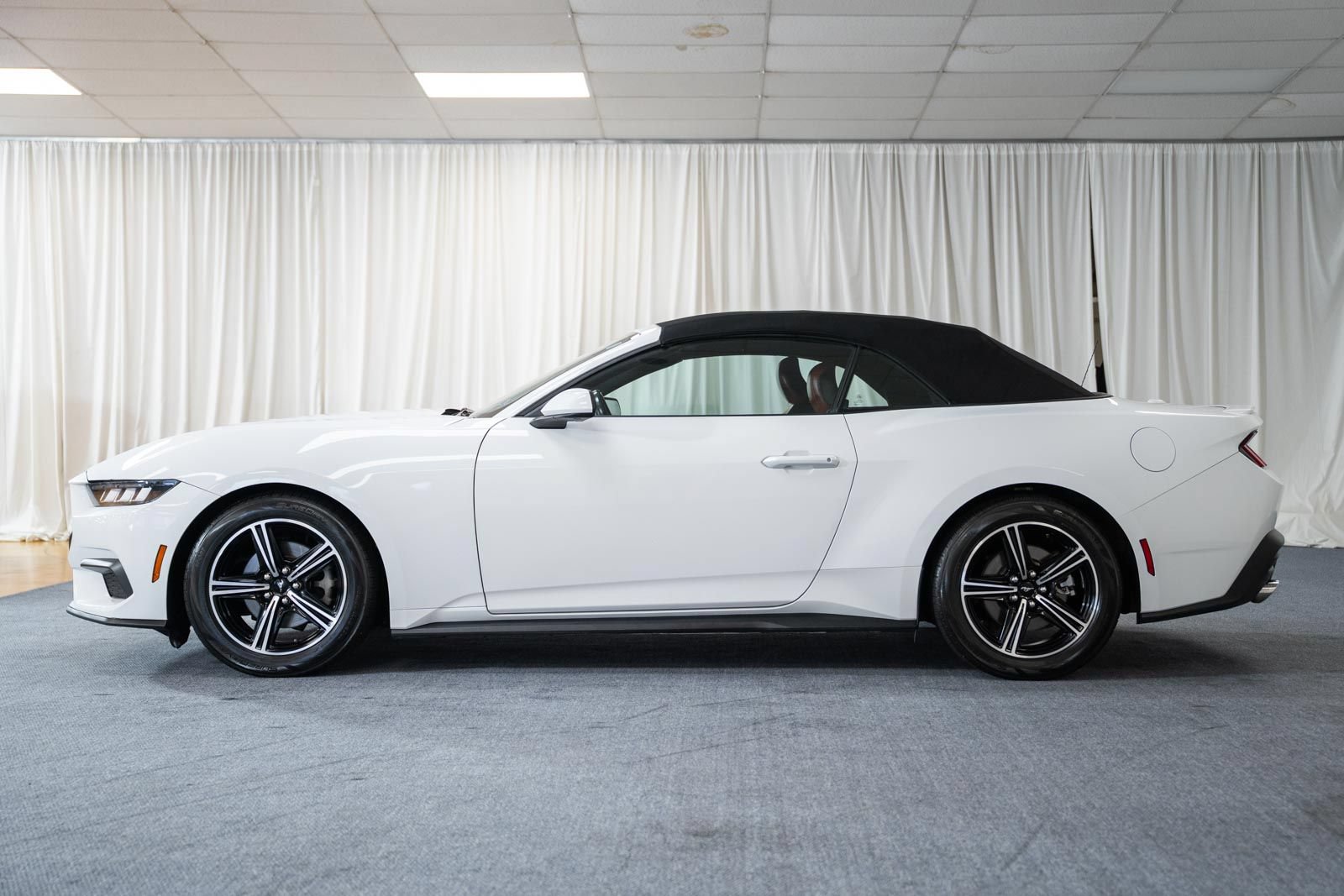 Used 2024 Ford Mustang Premium RWD image 4